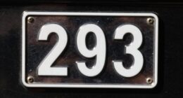 case details and limitations