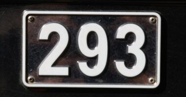 case details and limitations