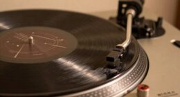check record status indicators