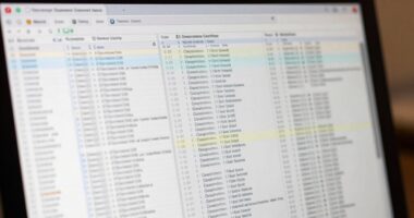 duplicate cases in searches