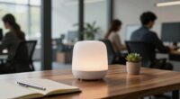 white noise for privacy