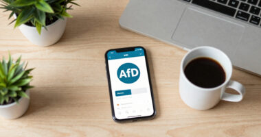 Bundestagswahl Umfrage Afd
