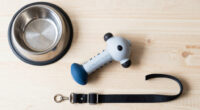 Outward Hound Announces H.I.G. Capital As New Majority Owner To Support Next Chapter Of Growth