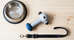 Outward Hound Announces H.I.G. Capital As New Majority Owner To Support Next Chapter Of Growth