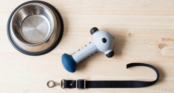 Outward Hound Announces H.I.G. Capital As New Majority Owner To Support Next Chapter Of Growth